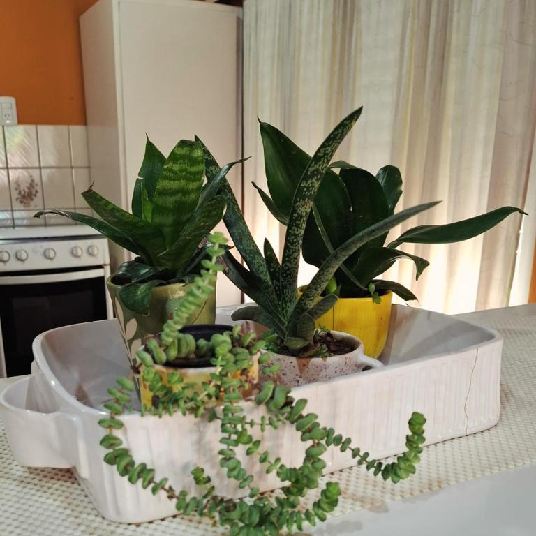 Alojamiento Passiflora I - Apartamento de 1 dormitorio - 15