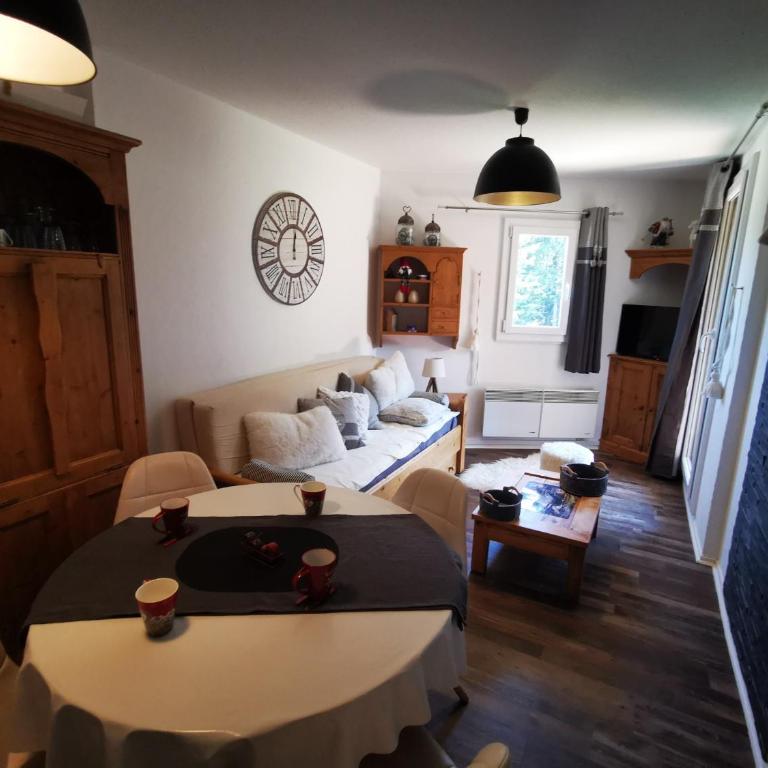Charmant 2 pièces aux pieds des pistes, Les 7 Laux - Appartement 1 Chambre - 4