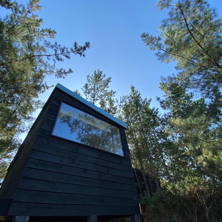 Tiny Houses del bosque - One-Bedroom House - 2