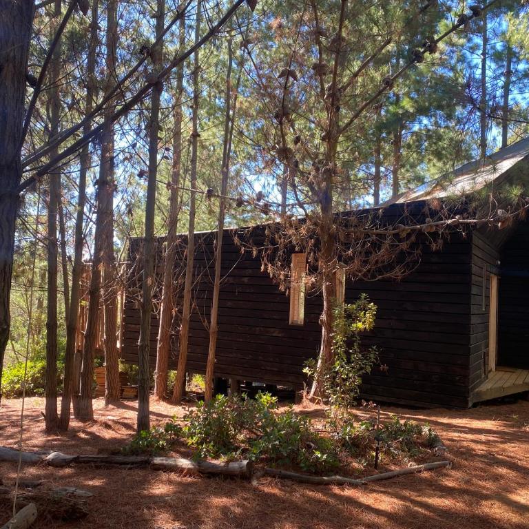 Tiny Houses del bosque - One-Bedroom House - 4