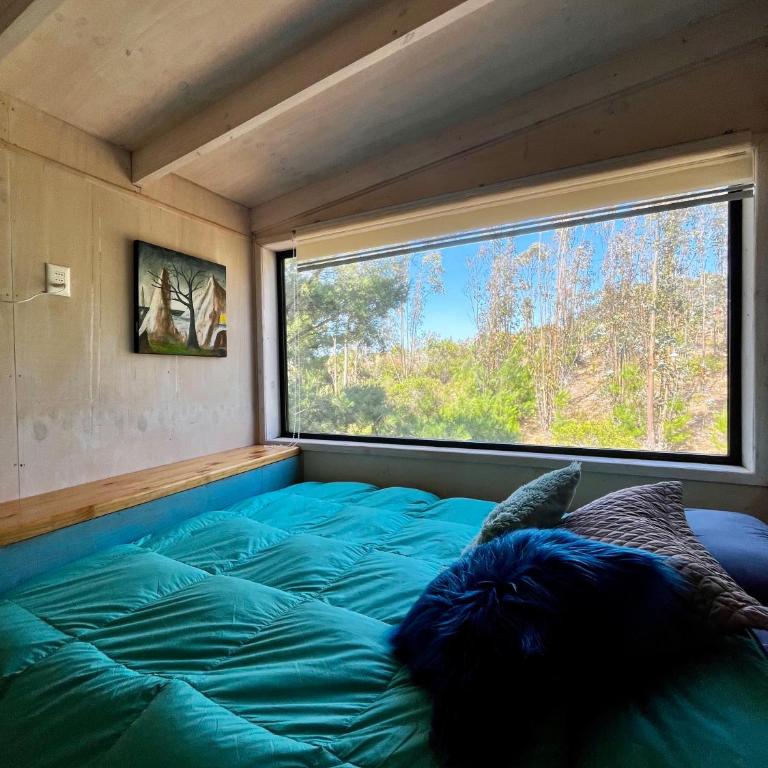 Tiny Houses del bosque - One-Bedroom House - 6