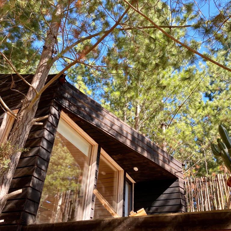 Tiny Houses del bosque - One-Bedroom House - 5