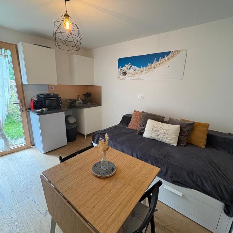 Charmant studio Saint Gervais 74 - Appartement 1 Chambre - 1
