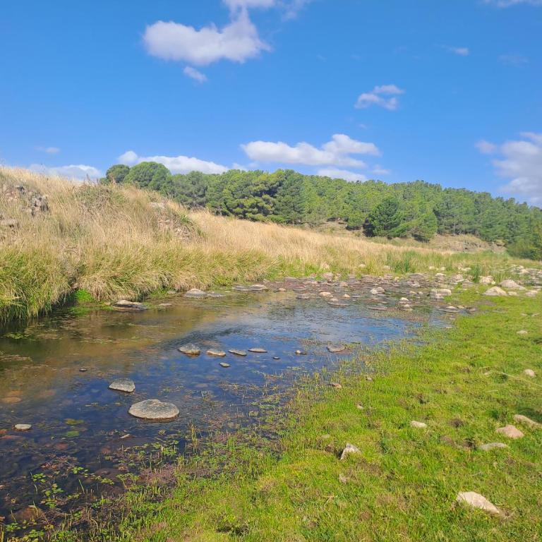 Casa Nube1 - Casa de 3 dormitorios - 39