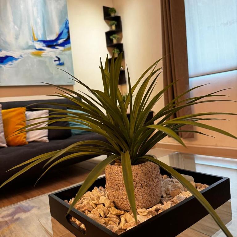 Condo Lux Xareni - Apartamento de 3 dormitorios - 23