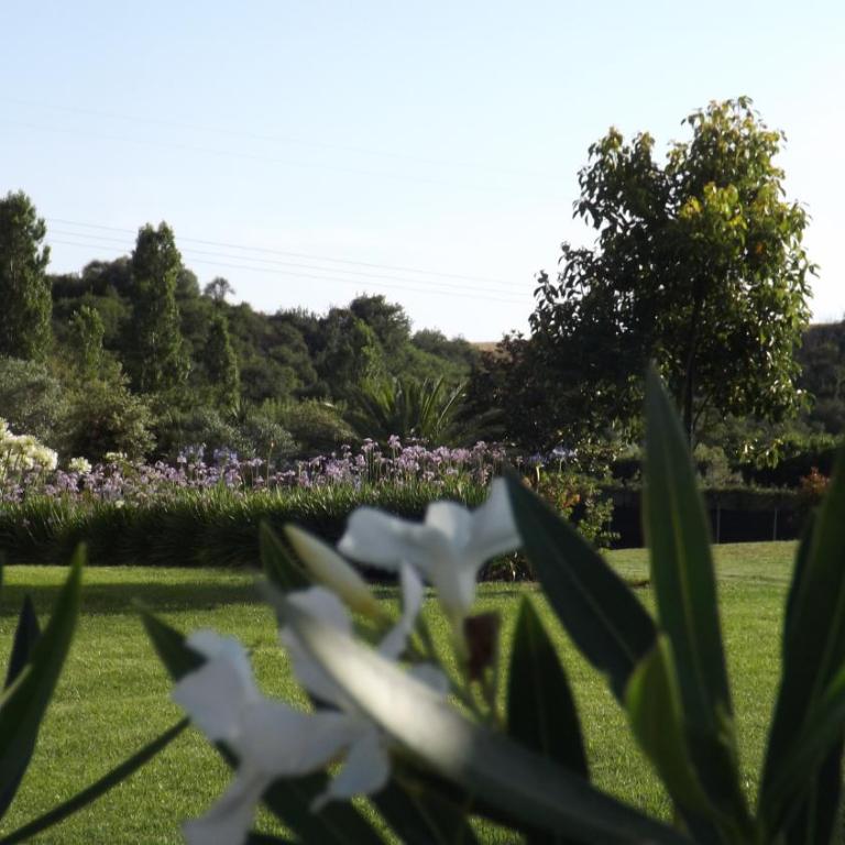 Villa la casa di Siro - Villa con Vista Giardino - 57
