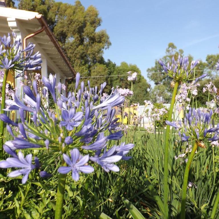 Villa la casa di Siro - Villa con Vista Giardino - 72
