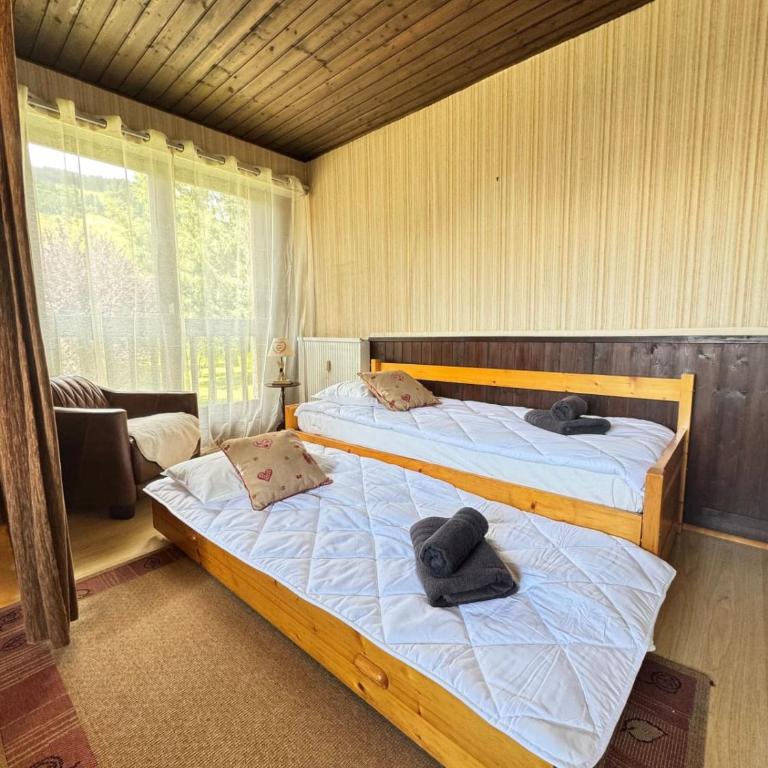Charming studio near the slopes and the city - Monolocale - 6