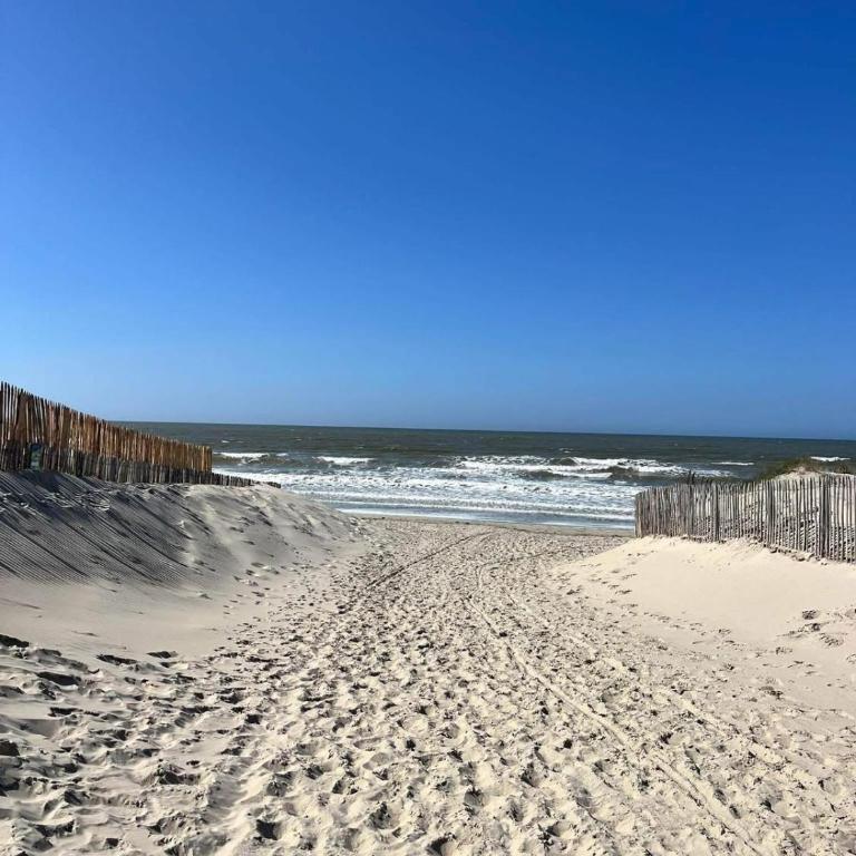 Appartement Les Dunes au coeur de Berck - Apartamento de 1 dormitorio - 13