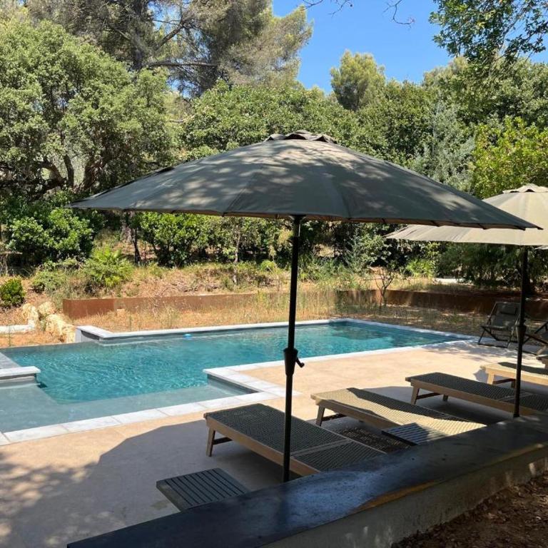 Maison de bord de mer sur la Cote d'Azur - Villa - 12