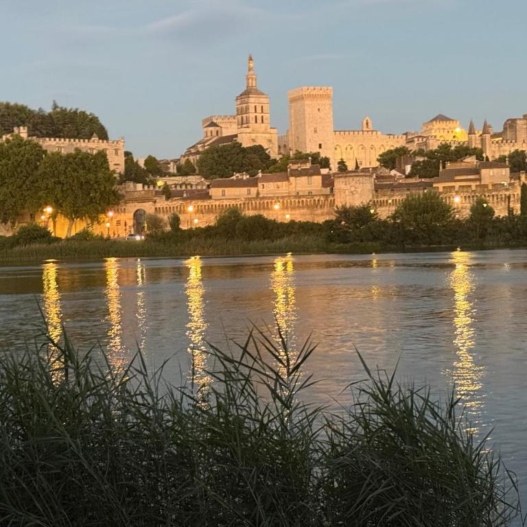 Appartement au coeur d'Avignon - One-Bedroom Apartment - 15