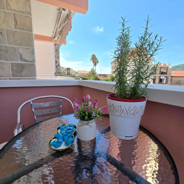 Garni Hotel Koral - Dvokrevetna Soba sa Zasebnim Krevetima, Balkonom i Pogledom na Vrt - 2