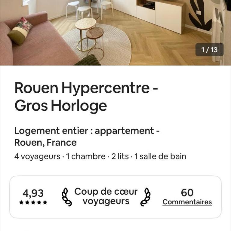 Appartement de charme - Hypercentre Gros Horloge - Appartement 1 Chambre - 11