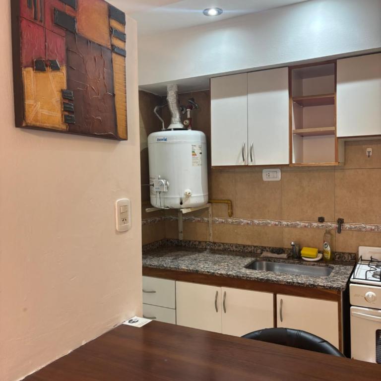 Loft Pellegrni - Apartamento de 1 dormitorio - 6