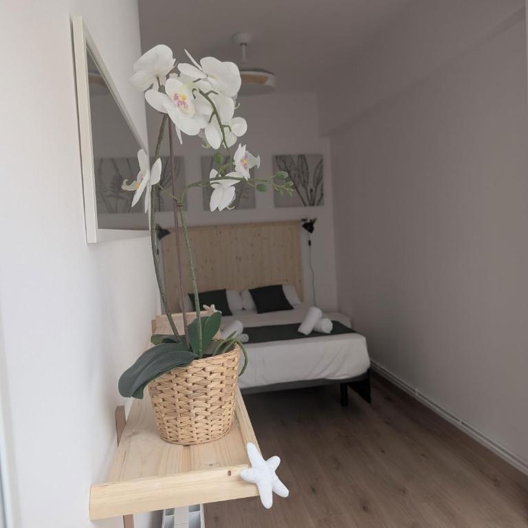Bilbao Base EBI3369 - Apartment - 27