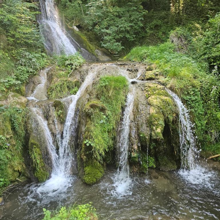 Apartman Ambient Zlatibor - Apartman sa 1 Spavaćom Sobom - 19