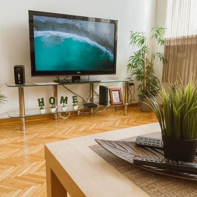 ART residence Cara Urosa - Apartman sa 1 Spavaćom Sobom - 7