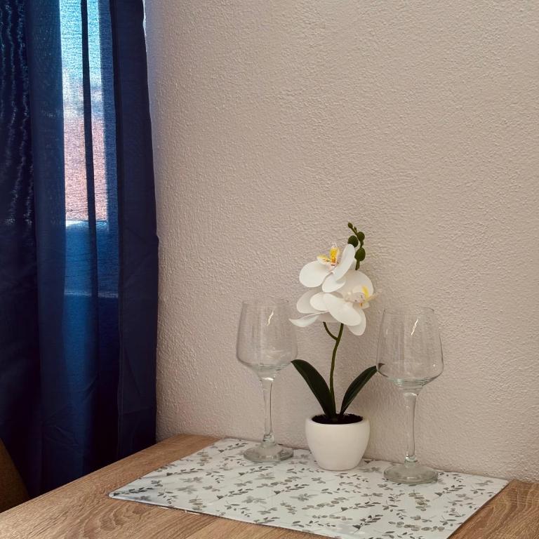 Apartment Old Stone - One-Bedroom Apartment - 21