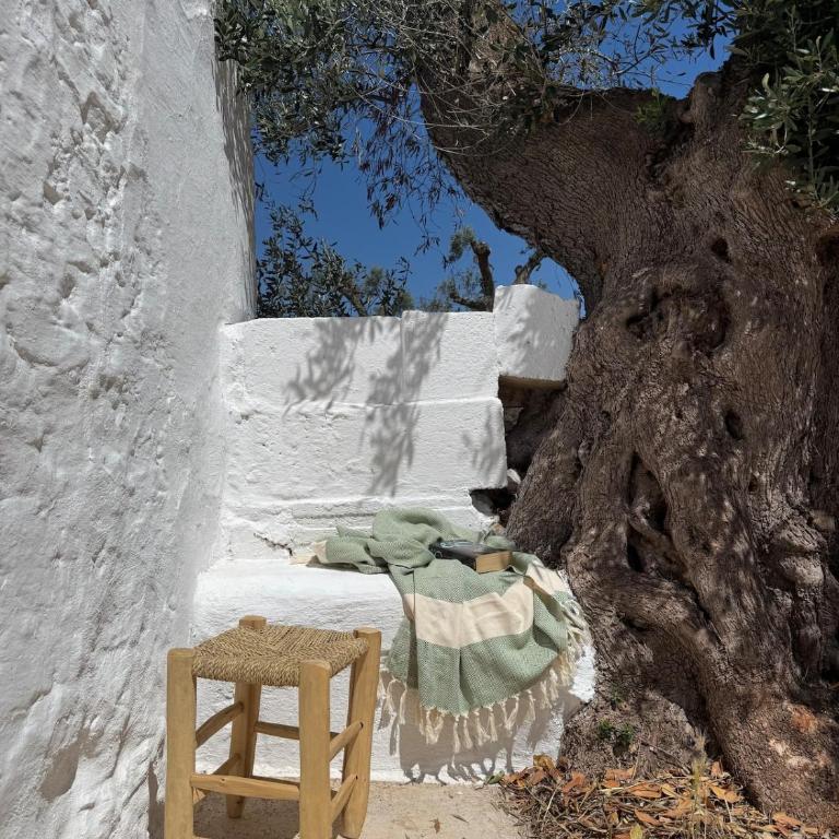Trullo Carbone - Casa Vacanze - 25