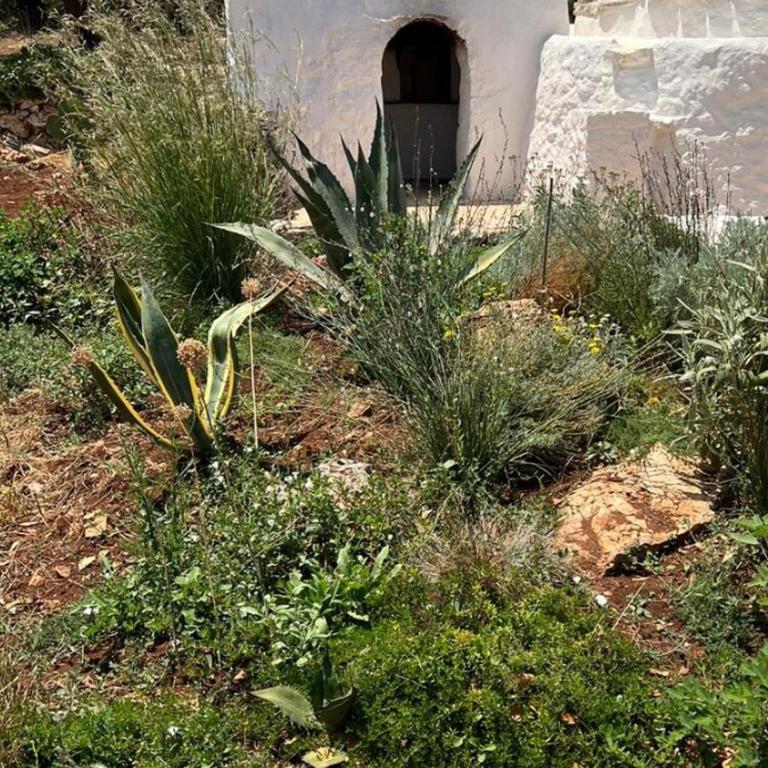 Trullo Carbone - Casa Vacanze - 77
