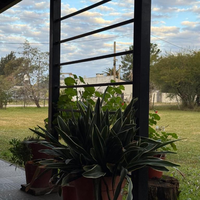 Casa con pileta, jardín y parrilla para toda la familia - Casa de 2 dormitorios - 16