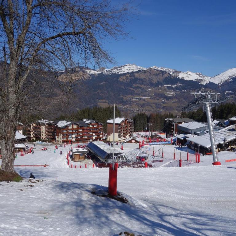 Jardins Alpins A N 20 - 2P6 - Appartement - 17