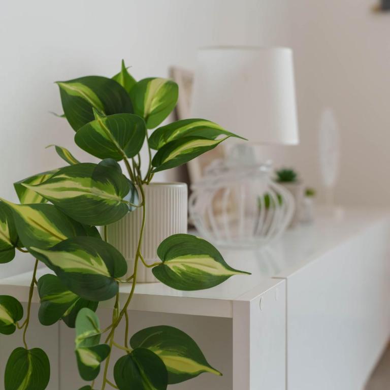 Boem residence Skadarlija PARKING - One-Bedroom Apartment - 19