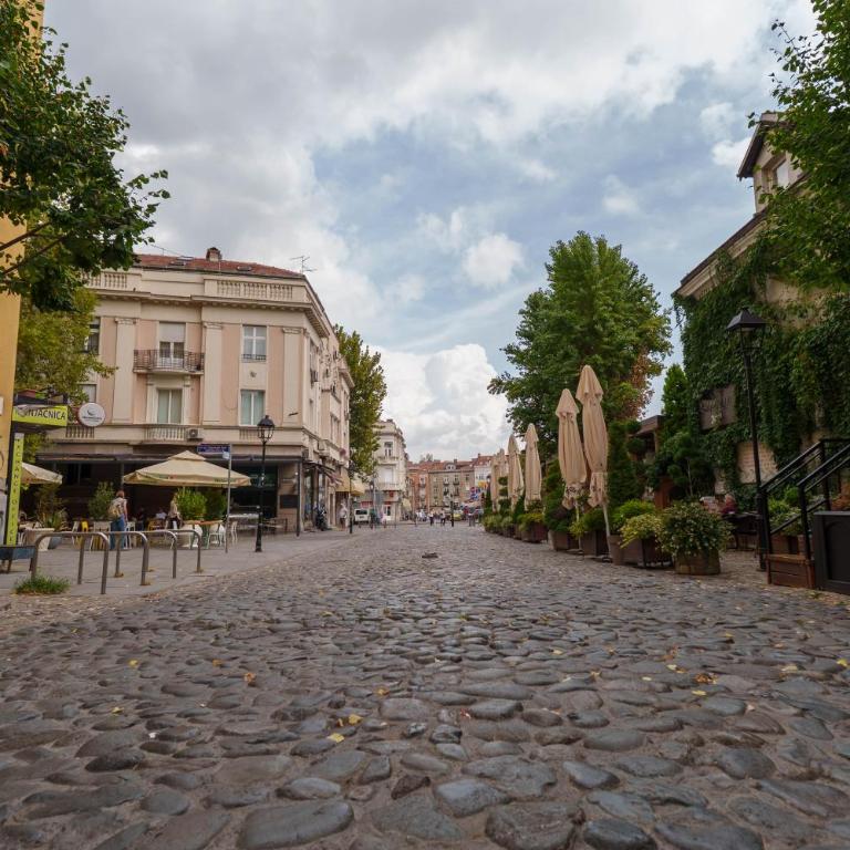 Boem residence Skadarlija PARKING - One-Bedroom Apartment - 53