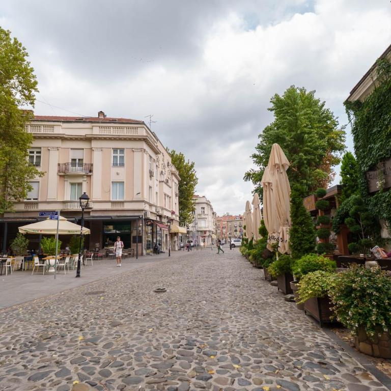 Boem residence Skadarlija PARKING - One-Bedroom Apartment - 61