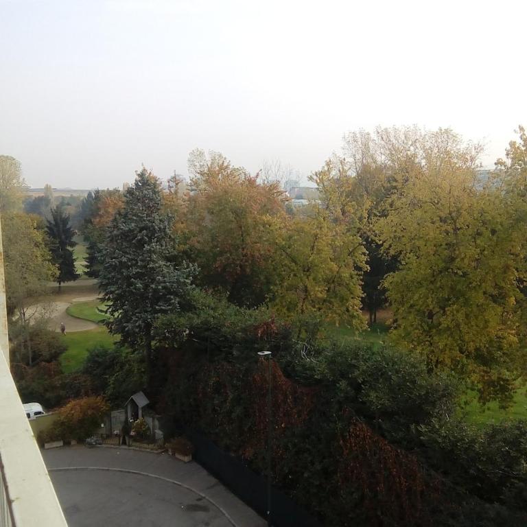 Comfortable apartment in Torino Mirafiori - Appartamento con 2 Camere da Letto - 9
