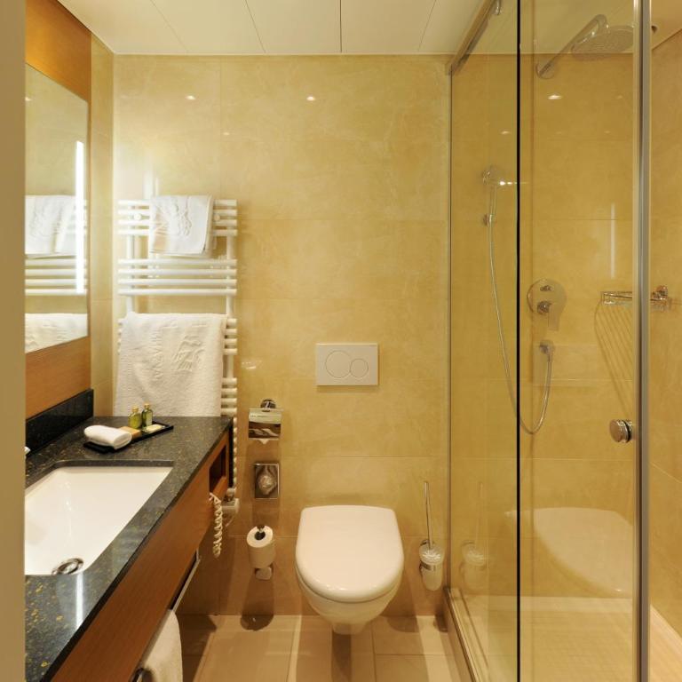Hôtel de la Paix Lausanne - Einzelzimmer - 5