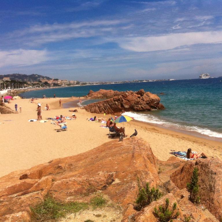 Cannes Terrace Beach Front & Sea view - Apartment mit Terrasse - 100
