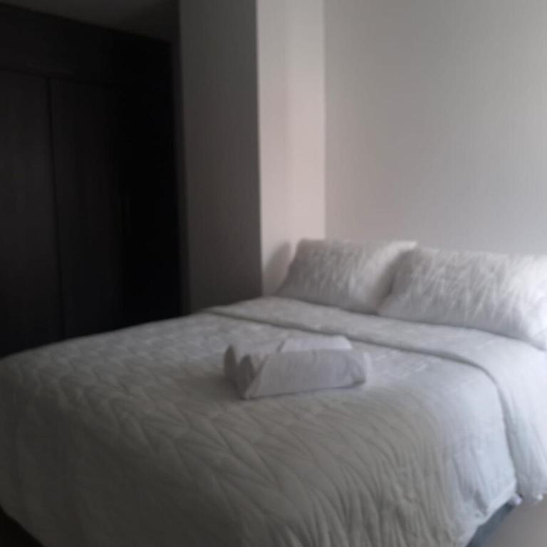 Gonzales apto 703 - Two-Bedroom Apartment - 11