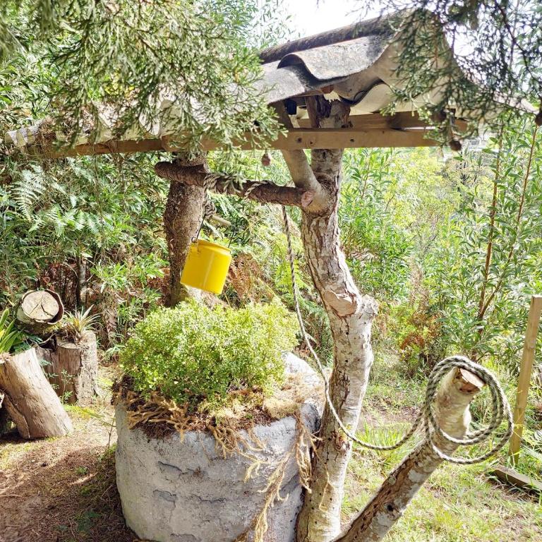 Lakeside Glamping with View Fire Pit Hammock - Casa con 1 dormitorio - 79