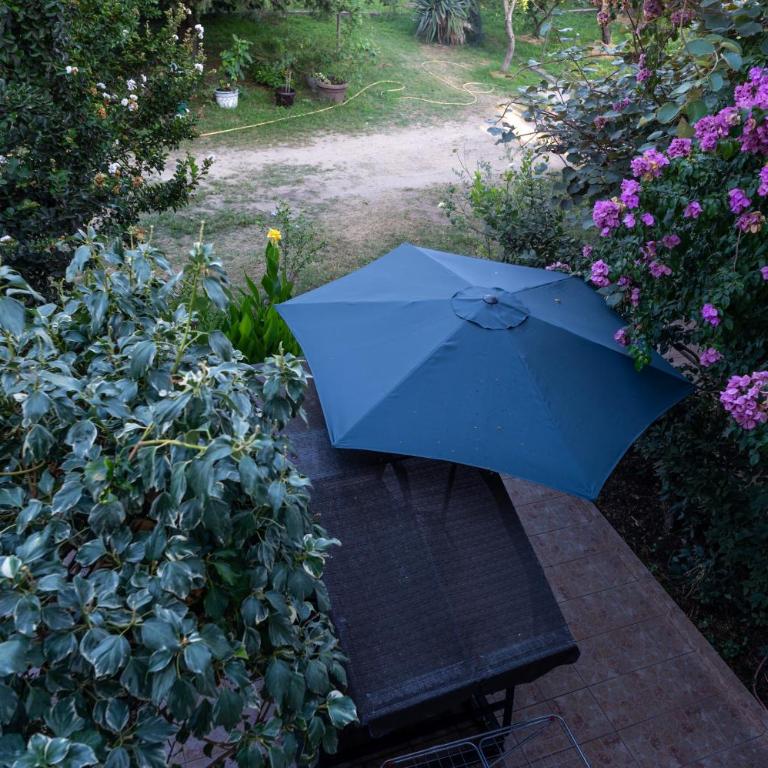 Apartments Chiara Garden - Deluxe One-Bedroom Apartment with Garden View - 3