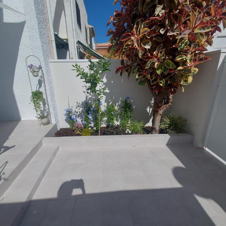 Aparthaus Olive - Three-Bedroom House - 9