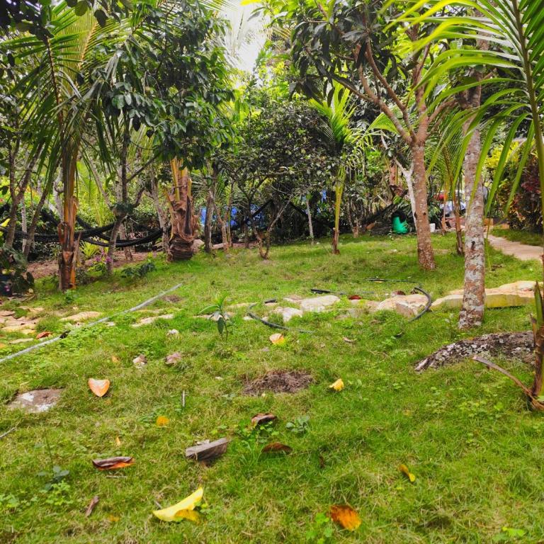 Homestay Natural Paradise habitación 2 - One-Bedroom Apartment - 10