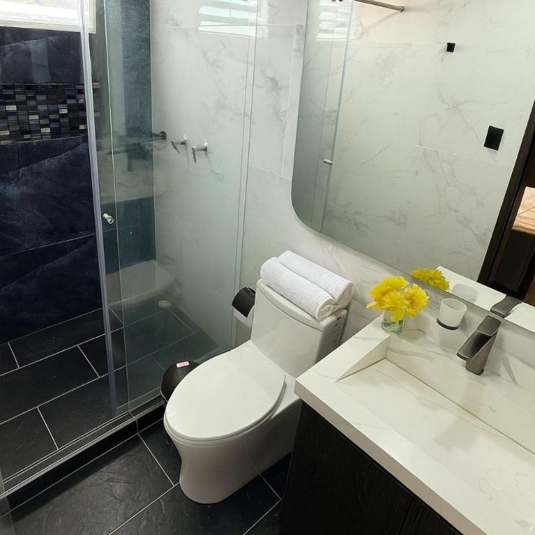 Luz Y Diseño - Apartamento de 3 dormitorios - 8
