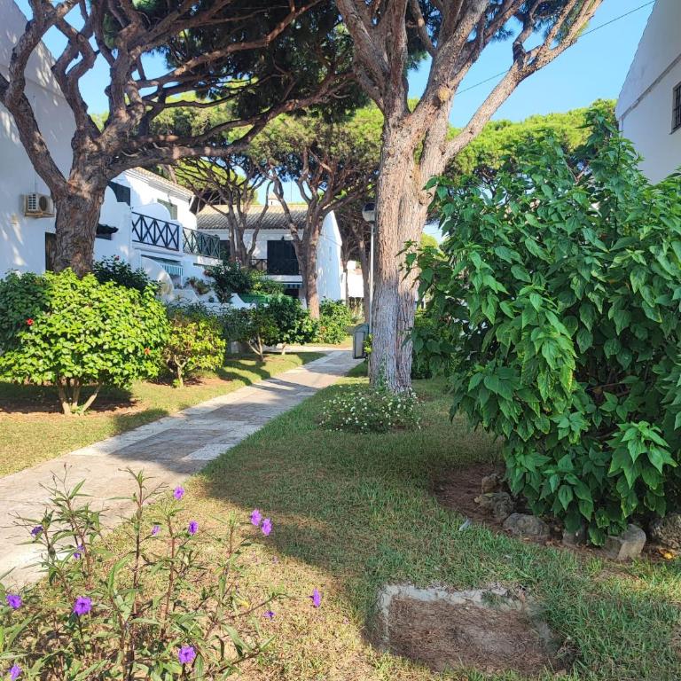 Apartamento en Chiclana de la Frontera - Apartamento de 2 dormitorios con vistas al jardín - 16