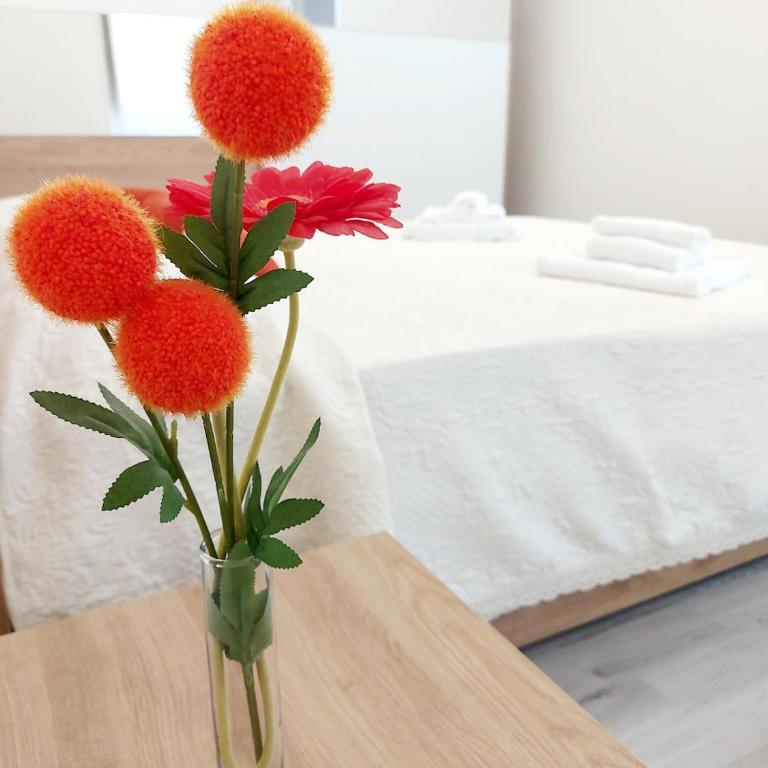 Mariolina's Apartament - Appartamento con 1 Camera da Letto - 5