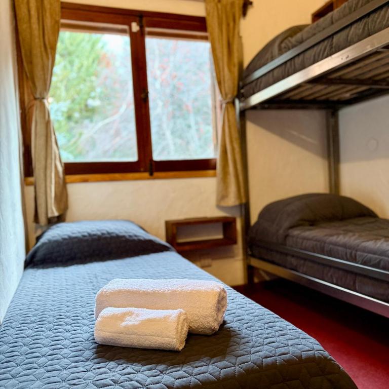Nevada Hostel - Single Bed in Mixed Dormitory Room - 3