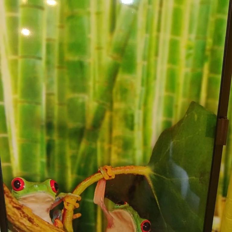 Studio apartment in Suba - Apartamento de 1 dormitorio - 49