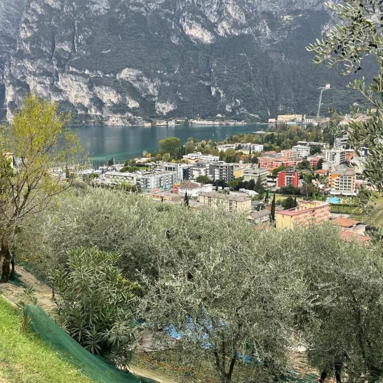 Appartamento VINESSA - Residence OLIVEA - Appartamento con 1 Camera da Letto - 56