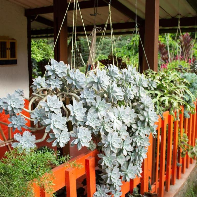 Casa de campo en medio de encantadores jardines - Villa de 3 dormitorios - 35