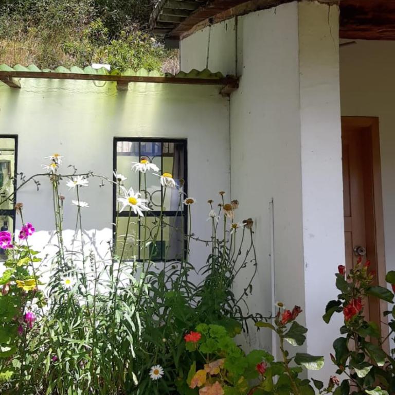 The Black Sheep Inn - Double Room with Private Bathroom - 3