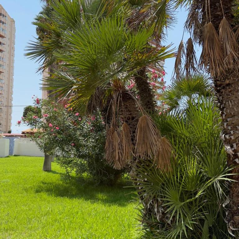 Atlantico Flamingo - One-Bedroom Apartment - 35