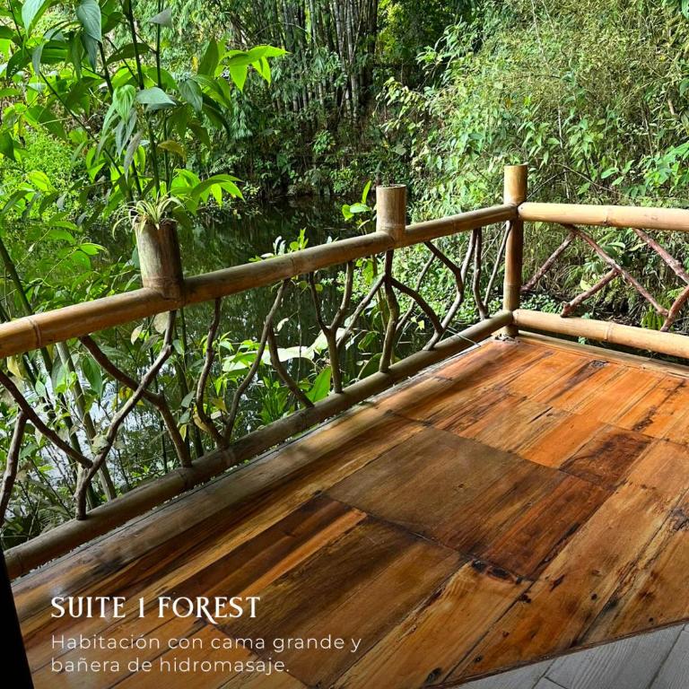 Subtropica Forest Suites - Habitación con cama grande y bañera de hidromasaje - 7