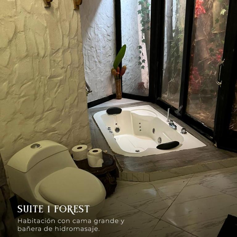 Subtropica Forest Suites - Habitación con cama grande y bañera de hidromasaje - 10