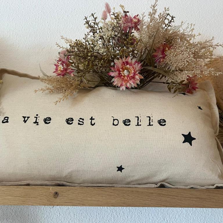 Petit cocon cosy proche place Stanislas-Parking & cave vélos - Appartement 1 Chambre - 40
