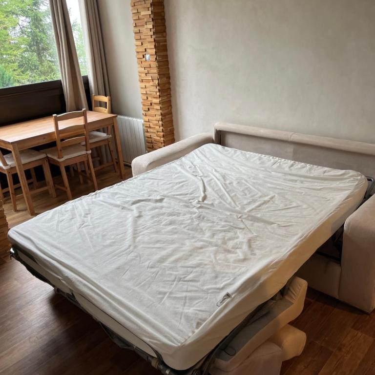 Studio cosy proche des pistes - Appartamento con 1 Camera da Letto - 11